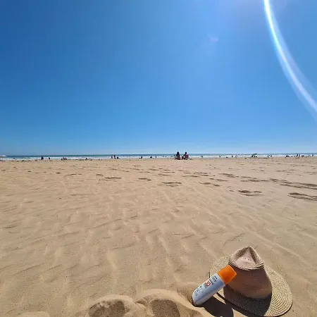 Renove, 2 Couchages, Mer, Commerces, 6e Etage, Tv, Balcon, Animaux Admis - Fr-1-224c-138