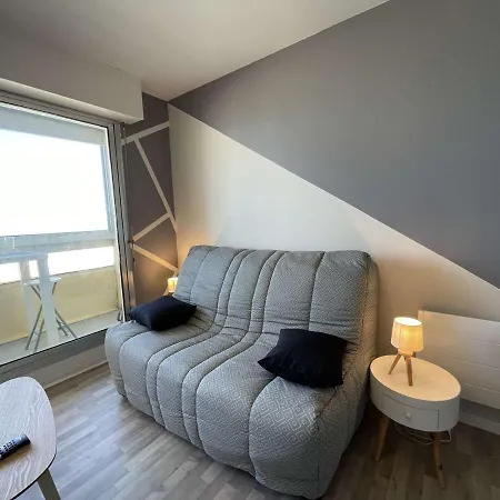 Renove, 2 Couchages, Mer, Commerces, 6e Etage, Tv, Balcon, Animaux Admis - Fr-1-224c-138 Apartmán