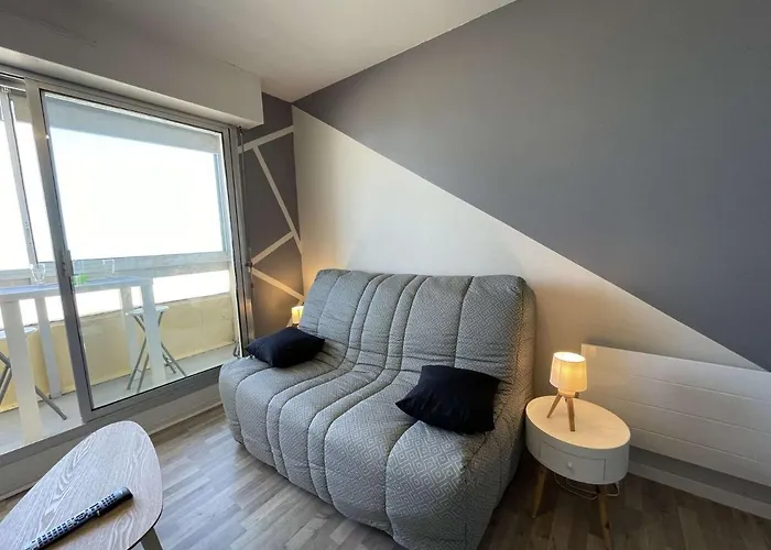 Renove, 2 Couchages, Mer, Commerces, 6e Etage, Tv, Balcon, Animaux Admis - Fr-1-224c-138 Lägenhet