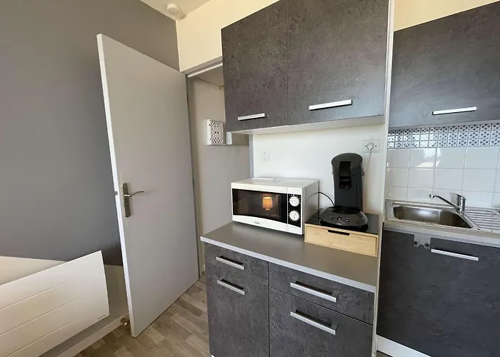 Renove, 2 Couchages, Mer, Commerces, 6e Etage, Tv, Balcon, Animaux Admis - Fr-1-224c-138 Lägenhet