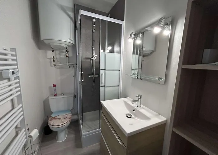 Renove, 2 Couchages, Mer, Commerces, 6e Etage, Tv, Balcon, Animaux Admis - Fr-1-224c-138 Lägenhet