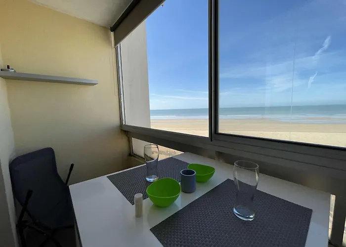 Apartamento Renove, 2 Couchages, Mer, Commerces, 6e Etage, Tv, Balcon, Animaux Admis - Fr-1-224c-138 *